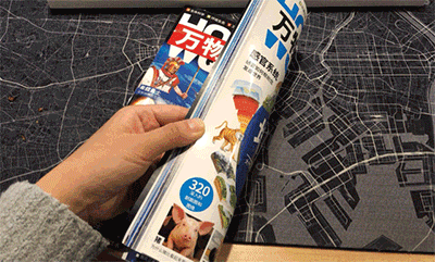 为什么中国孩子和国外孩子比较，缺少开创精神和国际化视野？