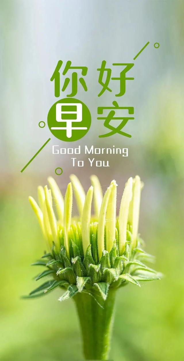 早安正能量唯美短句心语（2022.10.18早安心语正能量精致语录）(31)