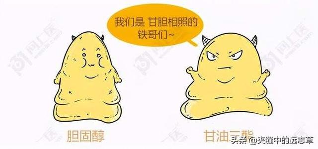 血脂高？多源于脾肾阳虚，送你六味中药，温脾肾、祛痰浊、化血瘀