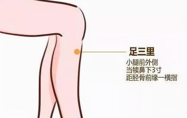 肠胃不好？中医说可以这样进行调理，这些食物可以常吃