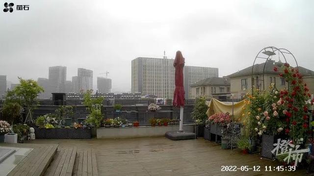 你在家种花种菜，这两位“卖土”做成大生意，公司估值10亿