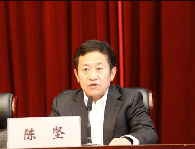 陈坚，被查