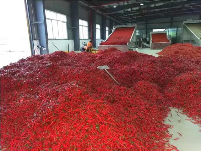 贵阳破碎机市场在什么地方