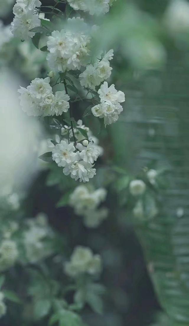 散文：人生无常，善待自己，简单生活，便是烟火中的小幸福