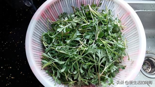 “清明吃2宝，一年无烦劳”！2宝是啥？采摘短，现在正当吃