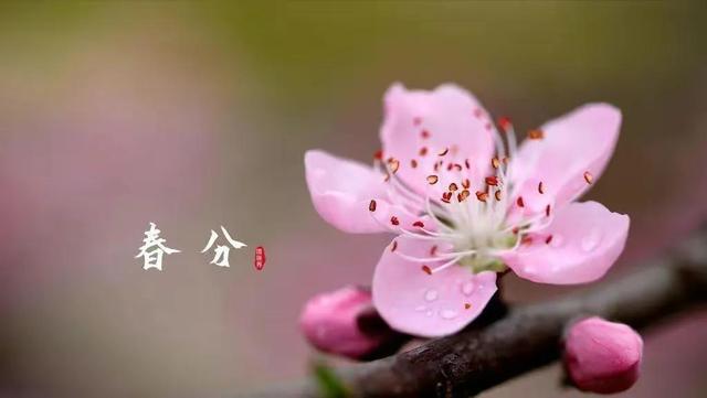 春分新添温暖