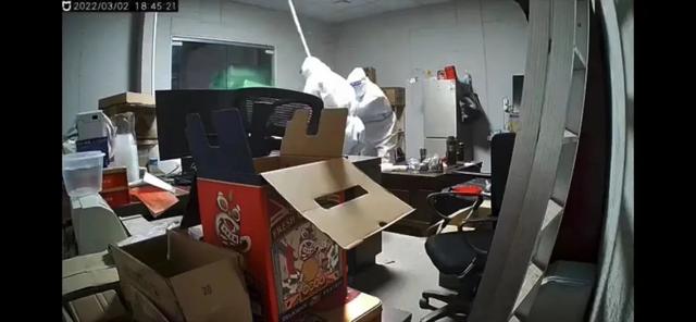 “确诊后，我的猫就要被人道销毁？”