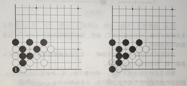 围棋有多少交叉点