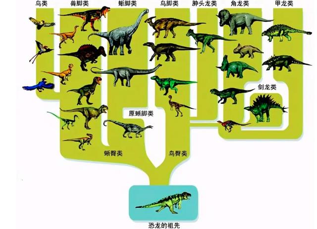 地球6大霸主 灭绝图片