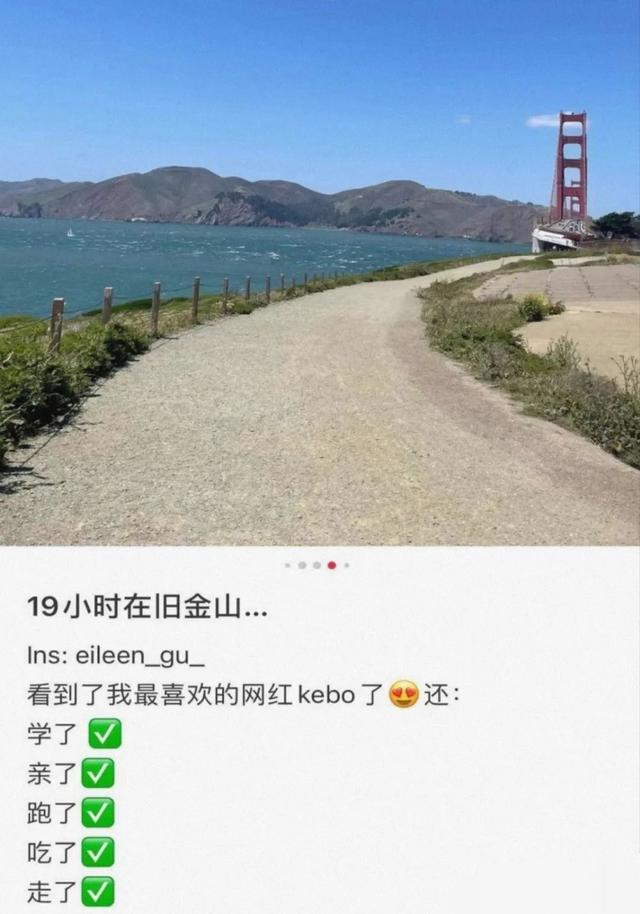 谷爱凌乘私人飞机离境赴美