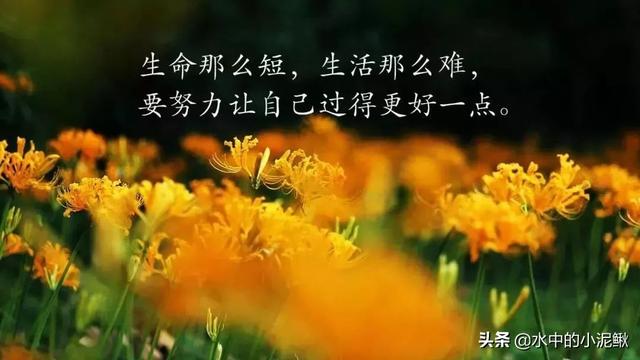 早安心语励志的语句，正能量励志语录短句