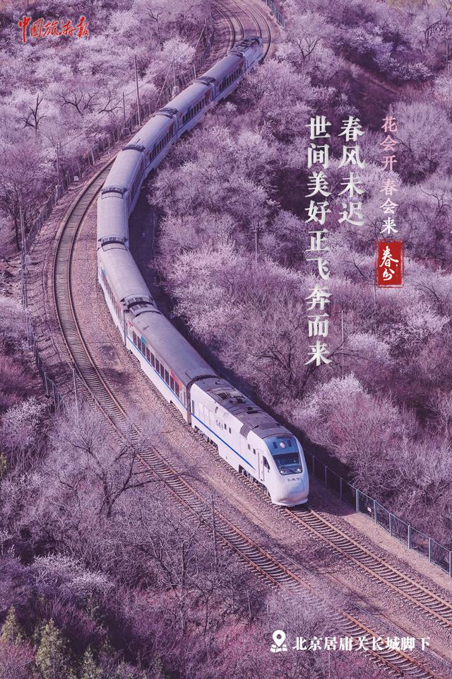 今日春分｜繁花如期盛开 春天定将到来