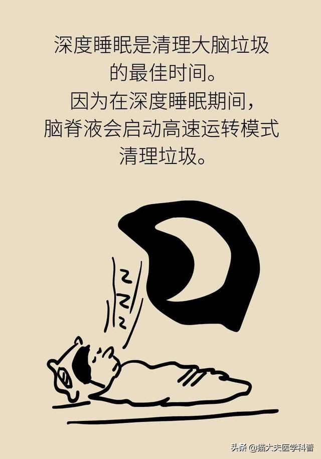 睡眠日丨睡不好的后果远比你想得更严重，你可能会变傻
