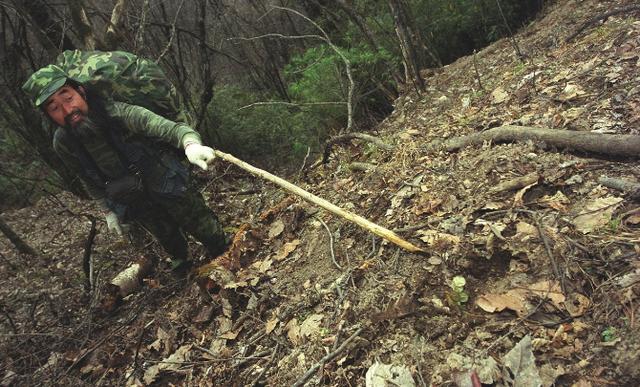 活了1000多岁的人(1000多岁的人)