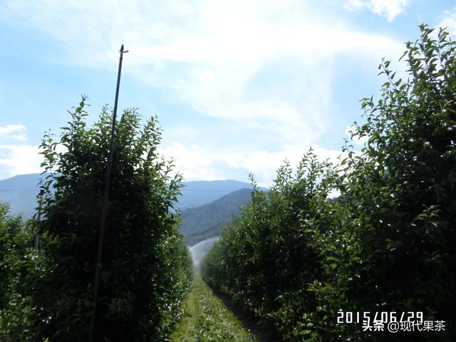 2018年意大利农业机械展