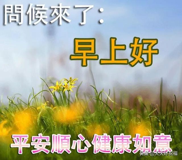 有创意的早安问候祝福语图片免打字，温馨的早上好问候图片精选