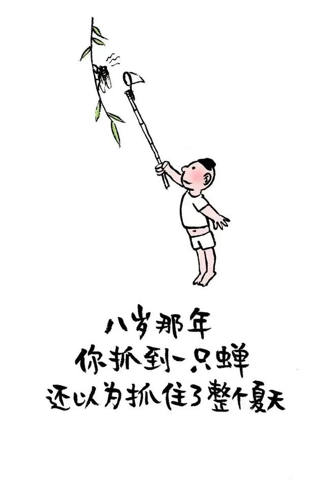 人生神总结，让人唏嘘让人叹