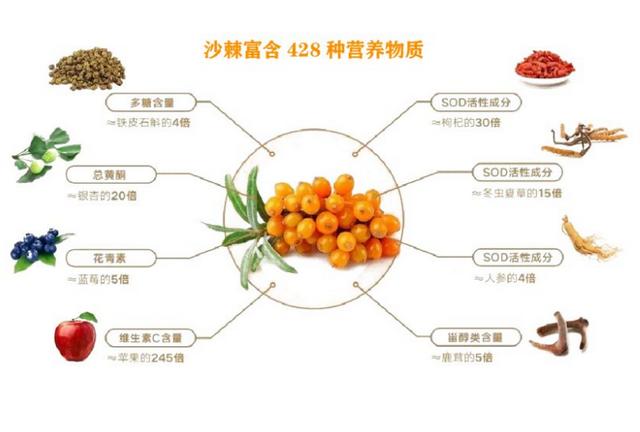 【马博士女性“养生馆”】药食同源—古老的沙棘果，生物的活性库