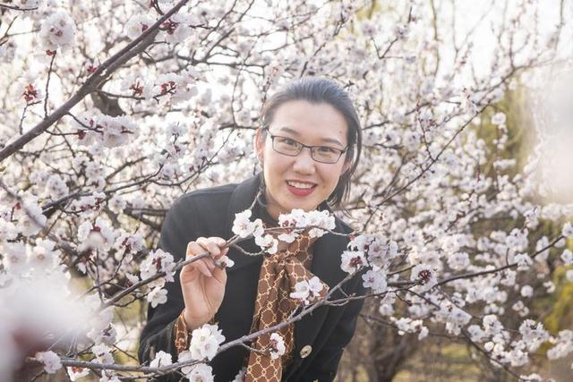 苍马山红杏枝头春意闹