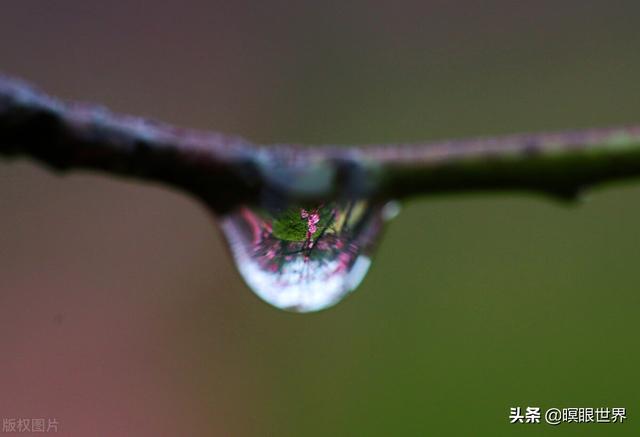 清明节-中国传统节日