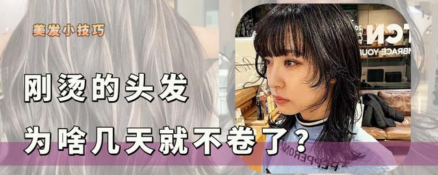 「重大事件」头发烫不卷怎么补救(头发烫的不卷了怎么快速补救)