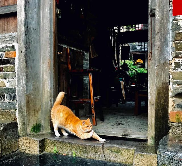 廣西旅行·黄姚散记