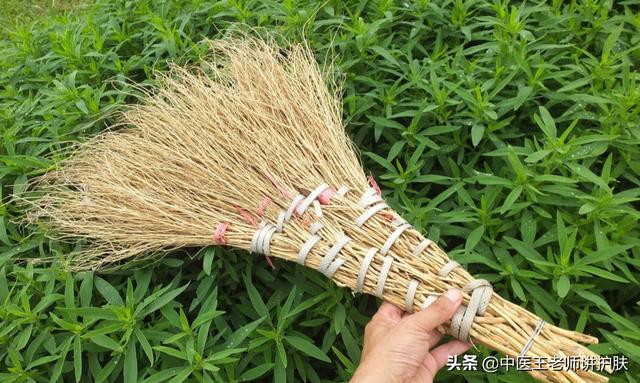全身发痒不过风邪、湿毒？一个止痒方，专管皮肤瘙痒