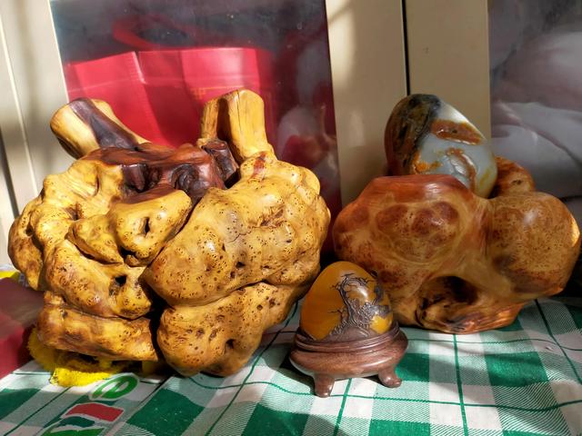 土木工程艺木展