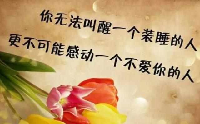那些叫不醒的人