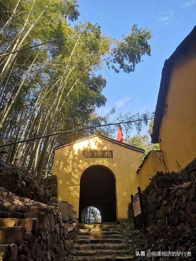 年末了，舉家住到了酒店，爲啥？2021年末我們的隔離生活一