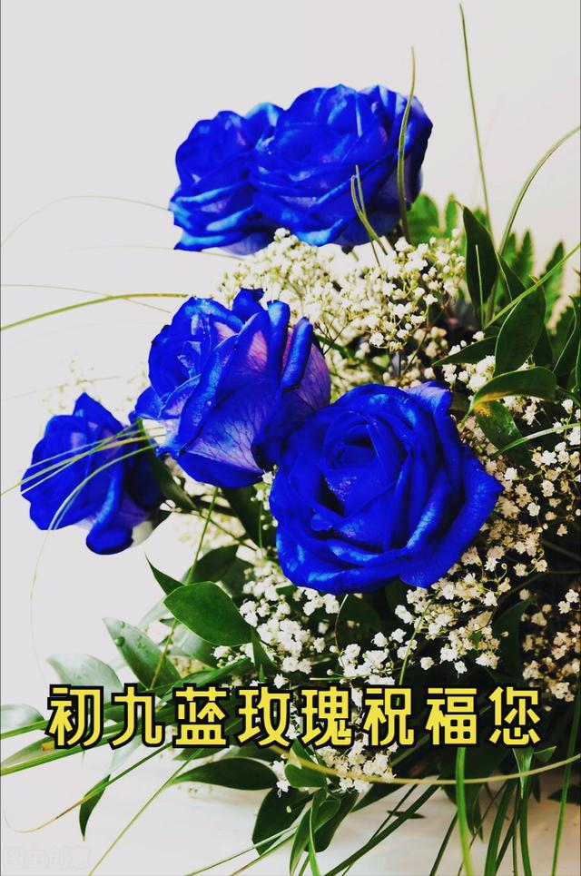 9朵玫瑰花语