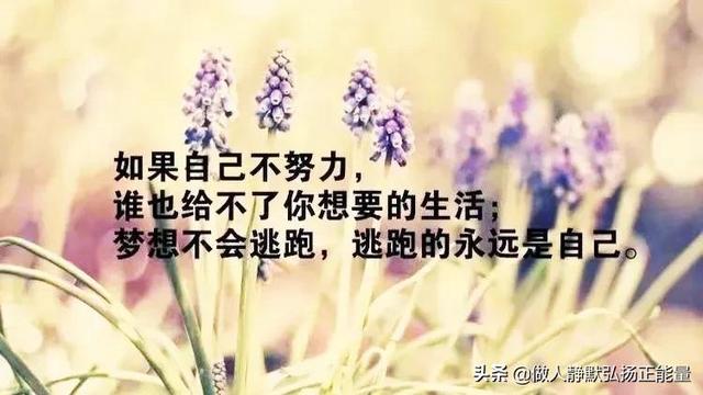 感悟人生的经典句子