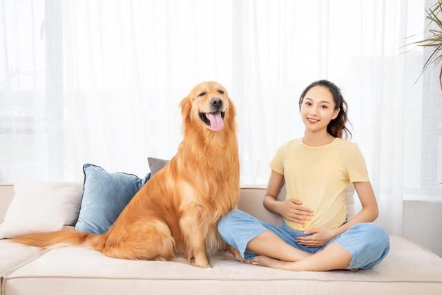 孕期养宠物需注意什么（孕期能养宠物吗）(5)
