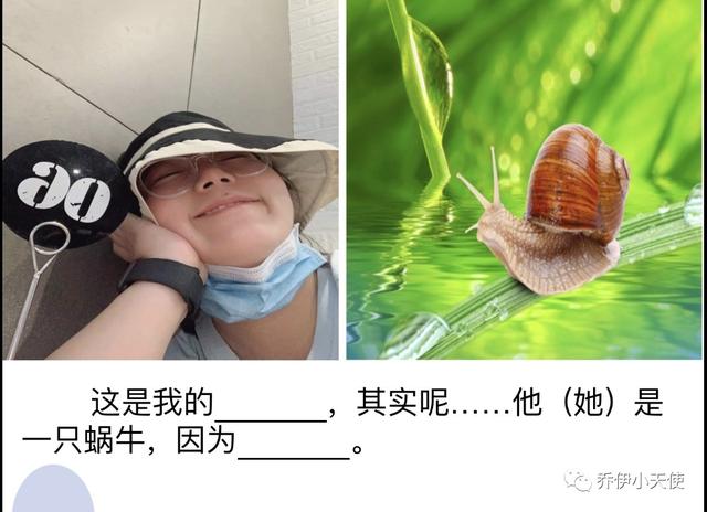 绘本写作《我家是动物园》