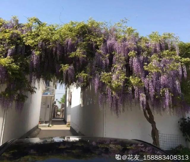 漳州鹅卵石制砂机厂家