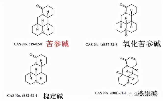 蚜虫、蓟马天然克星——揭秘植物源农药“苦参碱”2