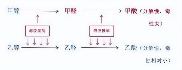 泸州农户办酒因甲醇多人身亡！5mg中毒30mg致死，散白是根源所在
