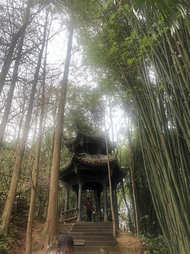 一不小心又成了夜遊~周末街子古鎮康道徒步到光嚴禅院~腳都走麻了