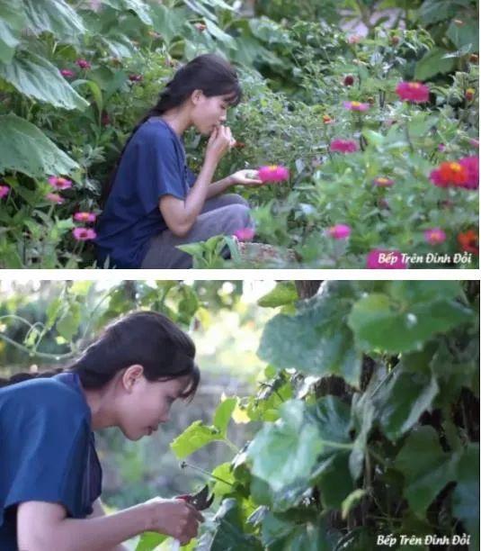 花谢花开飞满天