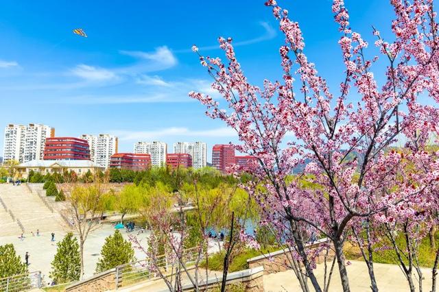 未來五年，昌平深化文旅融合，快來看這條旅行精品線路→