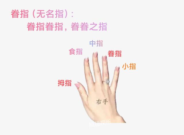五个手指头叫什么(手分为哪几个手指)-捌号楼