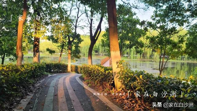 組圖 | 武漢地鐵5號線2期，沿途那些園林，逛一次少一次