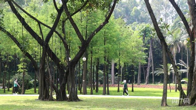 「高清图集」立夏丨遇见最美广州 莫负时光与梦想