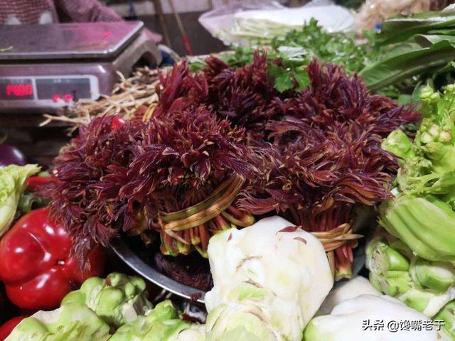 惊蛰前后，建议给家人多吃“5个鲜”，营养丰富，鲜嫩爽口，真香