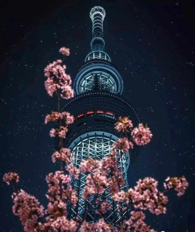 有審美的拍照才叫攝影，忘記遊客照吧，這樣的旅拍才有意思