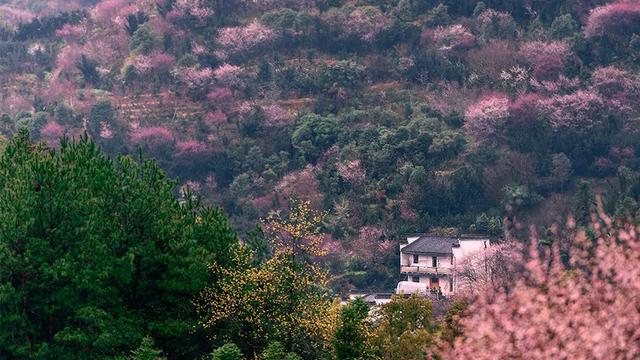 百色单螺旋洗砂分级机报价