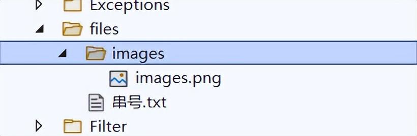.NET6 中的静态文件怎么搞？