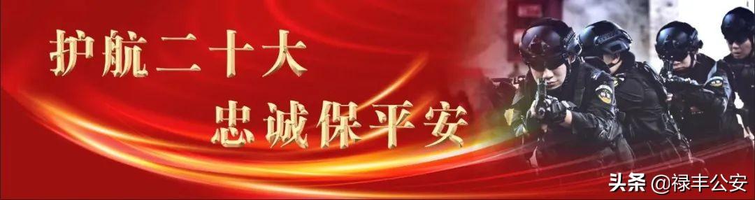 喜迎二十大 忠诚保平安 | 禄丰交警大队“四个加强”圆满完成“五一”道路交通安保工作
