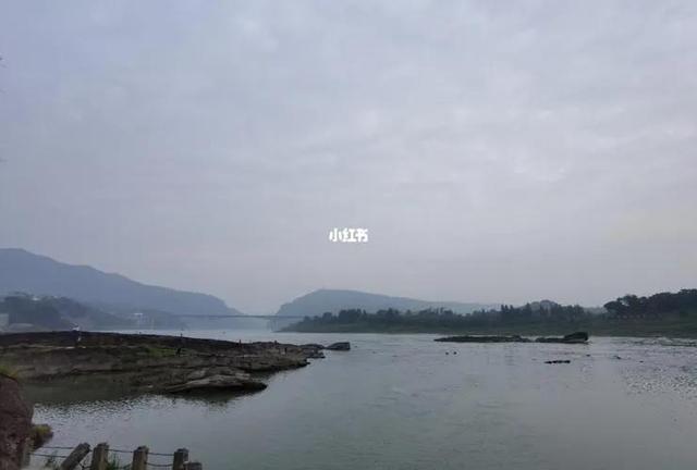 周希汉向17岁的周璇求婚，对方却不表态，陈赓拍板说：今天就结婚