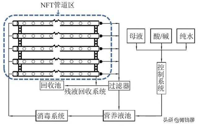 植物工厂营养液膜技术管道水培生菜高效栽培及采后处理技术1